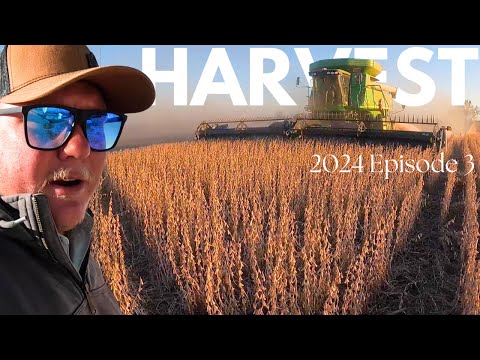 SETTING A NEW YIELD RECORD? - Everything goes smoothly in a farming videos right?