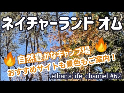 【キャンプ】ネイチャーランド オム キャンプ場ご案内🏕道志中流域の豊かな自然を上手く利用したキャンプ場❤️‍🔥岩風呂も最高でしたよ🤗　ethan's life channel #62