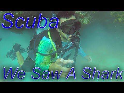 Scuba Diving The Florida Keys