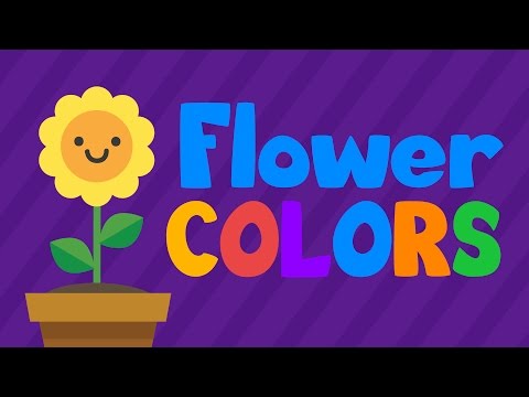 Colors for kids | Learn Colors with cute flower characters | LOTTY LEARNS