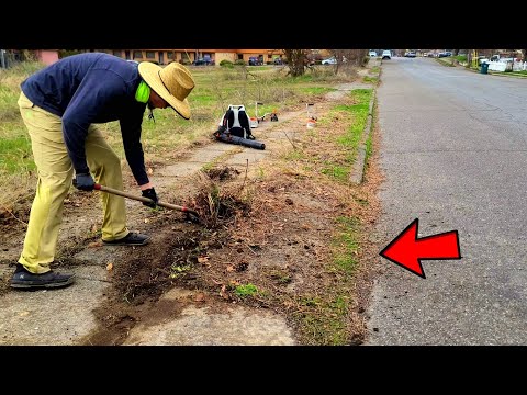 Hidden Driveways & Sidewalk DUG UP After Decades Of NEGLECT