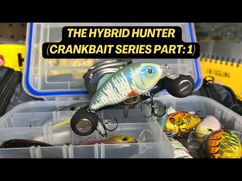 The Hybrid Hunter [Crankbait Series Part: 1]