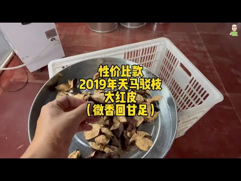 2019年天马驳枝大红皮，老树皮性价比高的一款，微香回甘足