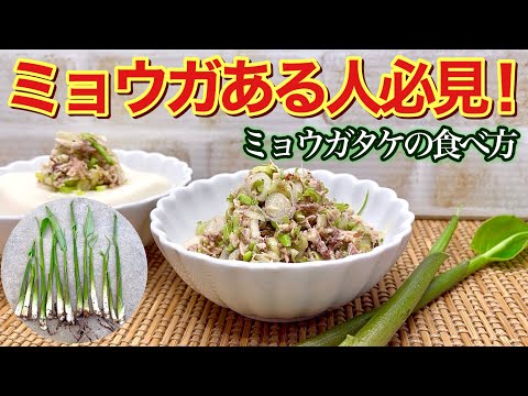 ミョウガがある人必見！ミョウガタケの食べ方♪ミョウガの茎の柔らかい所を美味しく頂きます。鯖水煮缶と和えるとおつまみやご飯、そうめん、冷奴等に最高に美味しいです。