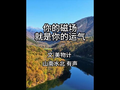 第701集你的磁场，就是你的运气 #国学文化 #人生哲理 #情感共鸣 #人生感悟