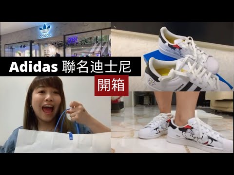 凱西 Vlog 21！新鞋新鞋开箱开箱啦！东西坏掉无法修理，只好买新的！这次是合作款哦！可可爱爱，时时髦髦的！究竟是什么合作款如此特别？话说，我是这个品牌的粉丝。