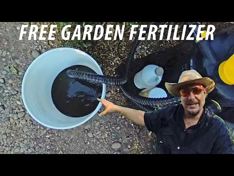 This Fish Pond Filtration System Works Amazingly Well!