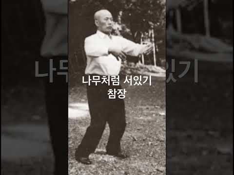 나무처럼 서있기 참장