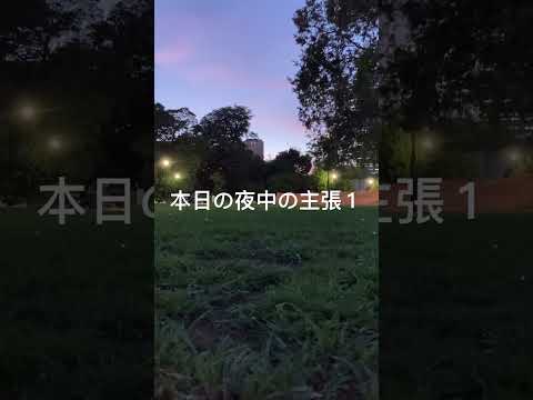 本日の夜中の主張１/再度、天秤座リヴラに対して"あの人はどっち派でどっちの味方なんだろう"と。愚問、リヴラだから中道、中道だからリヴラ。兄弟喧嘩が始まれば仲裁せずに真ん中の立場で様子見俯瞰している。