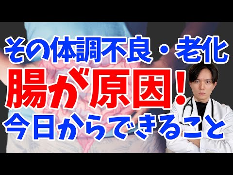 【健康】健康の鍵を握るのは腸！！腸のためにできる様々なことを医師が徹底解説！【アンチエイジング】