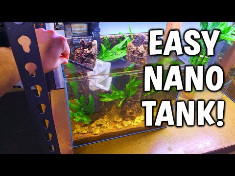 EASY Beginner Nano Tank With A Unique Twist!