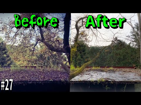 Amazing Before & After!!Japanese style old house!!27