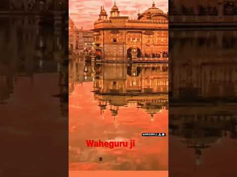 waheguru ji status #waheguru #shorts #reels #waheguruji #goldentemple #punjabi #gurbani