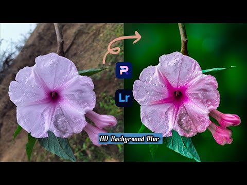 Blur Background Image | Lightroom Colour Grading | Mobile Photo Editing Tutorial | PhotoRoom Edit