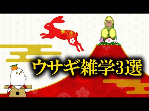 【ゆっくり解説】フンを食べないと死ぬウサギ【 あけおめ 】