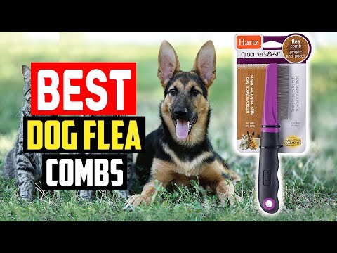 ✅ Top 5 Best Dog Flea Combs Review in 2023