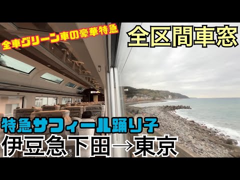 【全区間車窓】伊豆急下田→東京《特急サフィール踊り子E261系》