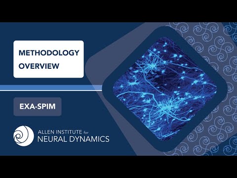 Methodology Overview | ExaSPIM