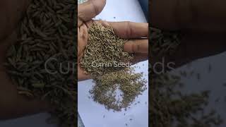 Cumin seeds