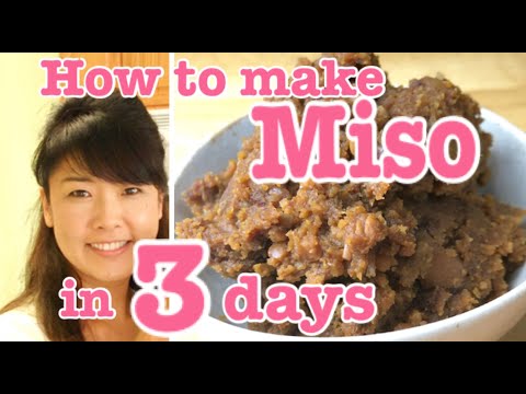 How to make Home made Miso in 3 days