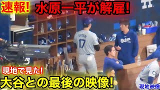 速報！大谷通訳、水原一平が解雇！大谷との現地最後の衝撃映像！現地映像