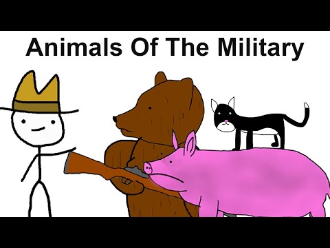 The Weirdest Military Animals Nobody Talks About