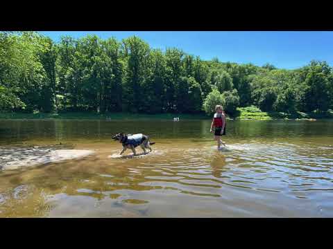 July 2022 Canoe with our German Shepherd 3 Hours of canoeing and river swimming