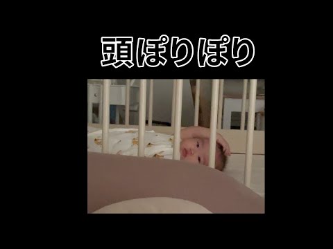 【ぽりぽり】頭を掻きながら ご起床 #shorts  #赤ちゃん  #baby