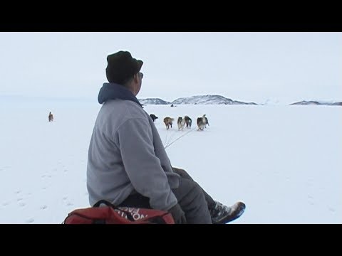 Dogsled route in the strait of Davis - Nanoq 2007 expedition