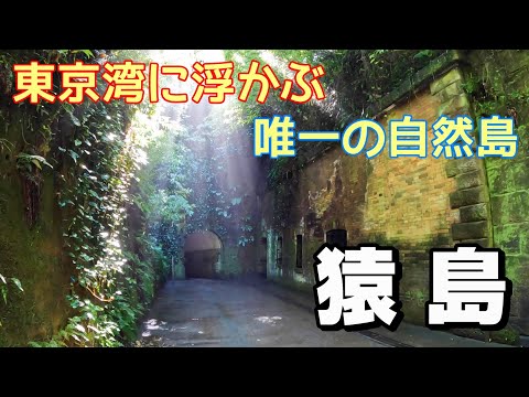 【島旅】東京湾に浮かぶ唯一の自然島　神奈川県猿島をひとり旅〈御船印20社達成！〉