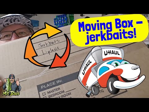 MEGA UNBOXING Moving Box Baits - Jerkbaits & Lipless Crankbaits!