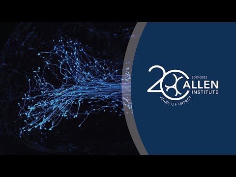 20 Years of Allen Impact