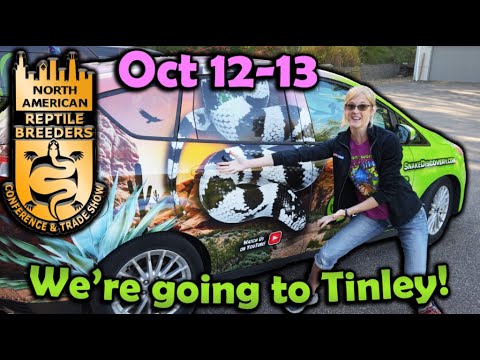 We're going to the Tinley Park NARBC! (October 2024)