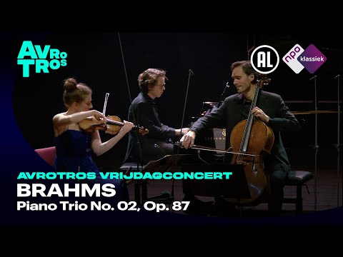 Brahms: Piano Trio No. 2, Op. 87 - Van Baerle Trio - Live concert HD