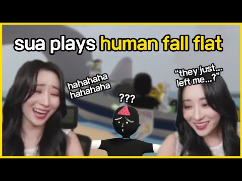 sua plays human fall flat 🐥