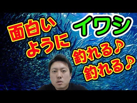 【魚図鑑 イワシ】釣り方簡単！ 爆釣するのは？ルアー 餌！食べ方は？