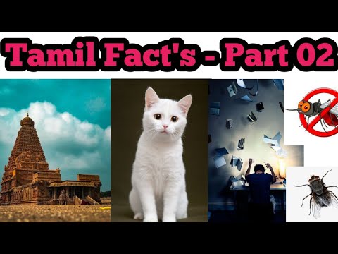 Tamil Facts - part 02 | #tamilfacts #interestingfacts #tamilnews #shorts #simplyreact