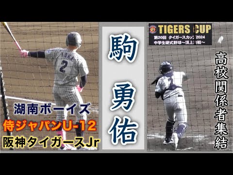 『駒 勇佑 高校関係者が集結 湖南ボーイズ』どこの高校に進学するのか 阪神タイガースジュニア→侍ジャパンU12 タイガースカップ2024