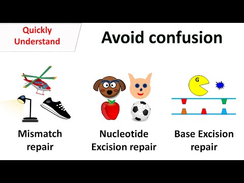 Avoid confusion between - Nucleotide Excision repair vs Base excision repair vs Mismatch repair