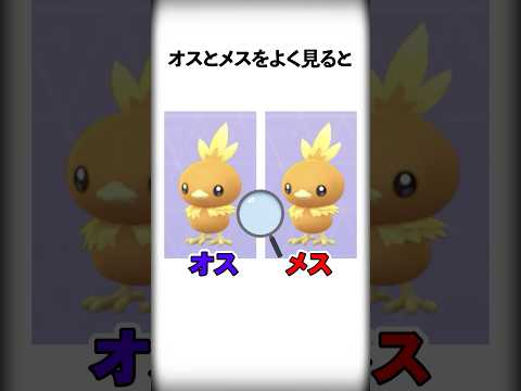 【ポケモン】ガチ勢しか気づけないオスとメスの違い6選 #Shorts