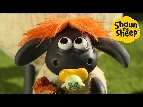 Shaun the Sheep 🐑 Timmy Haircut - Cartoons for Kids 🐑 Full Episodes Compilation [1 hour]