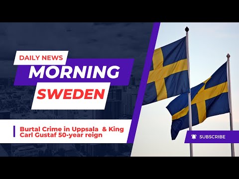 Latest News on Sweden: Ukraine Pilot Training, Uppsala Violence, Involuntary Fatherhood in Halmstad