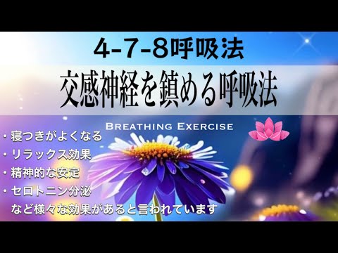 【呼吸法５分】4-7-8 呼吸法｜交感神経を落ち着かせるための呼吸法｜1分で眠くなる