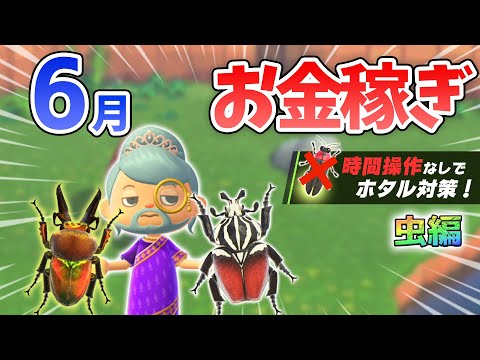 【あつ森】6月のお金の稼ぎ方！時間操作なしで効率よく30分40万ベルを稼ぐ最強の方法！離島でサソリやゴライアスを乱獲するための湧きつぶし金策法解説【あつまれどうぶつの森　6月お金の稼ぎ方】