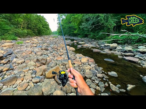 DRIED UP Creek has BIG Surprise!