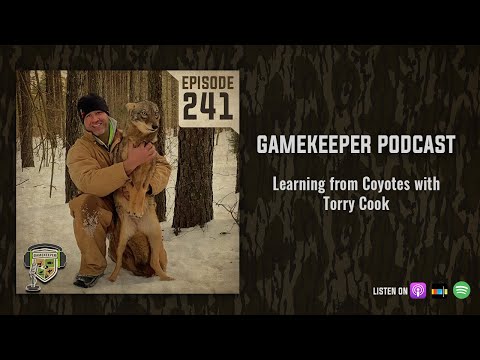 EP:241 | Learning from Coyotes with Torry Cook