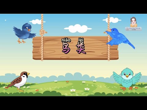 鸟类 Birds｜科学｜学前教育