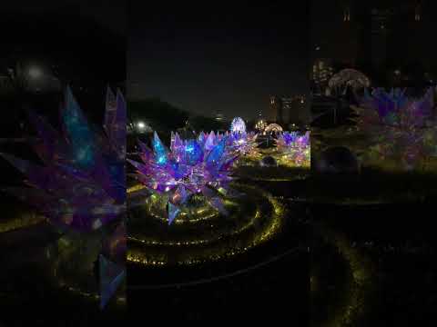 ラブ ライトピア / LOVE LIGHTPIA (Shorts 1) -- お台場 シンボルプロムナード公園 / Symbol Promenade Park, Odaiba (2024/5/20)