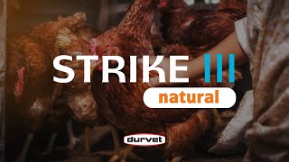 Supplement Your Flock Naturally with Strike III Natural Poultry Pellets