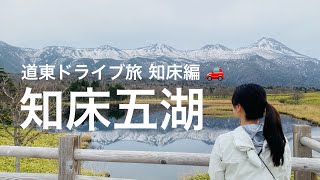 北海道のラスボス、知床。緊張感と共に知床五湖へ🐻【ヒグマ生息密度日本一】